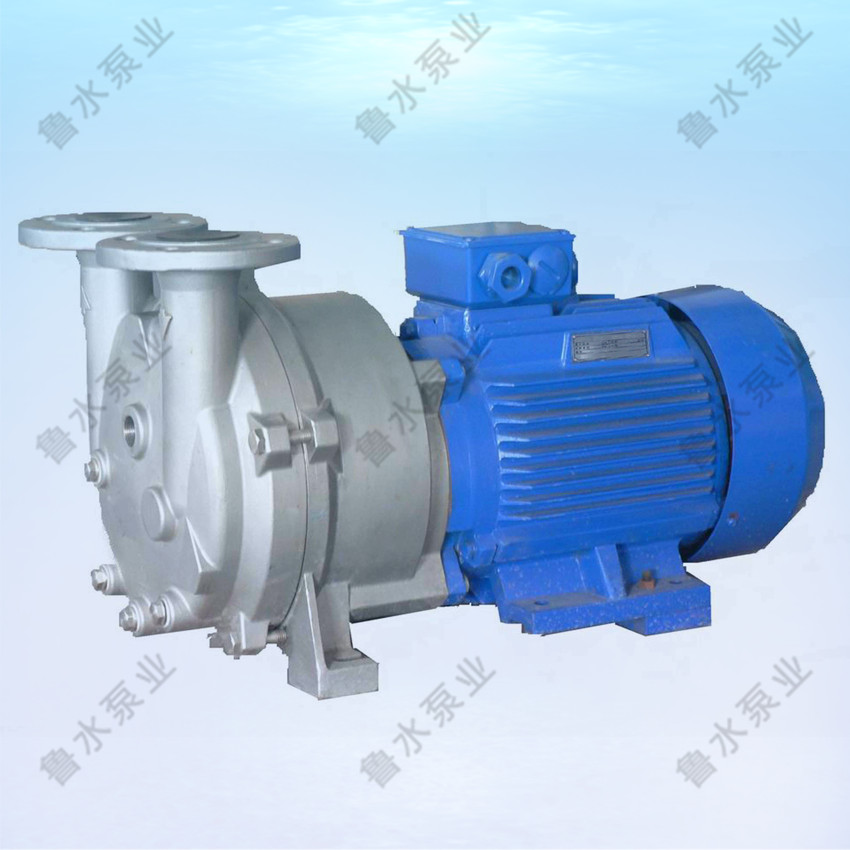 2BV水環(huan)式真空泵(bèng)