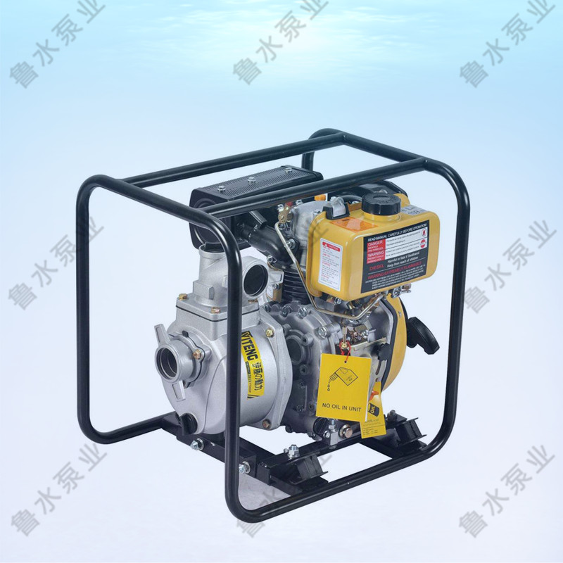 便攜(xié)式柴油機泵(bèng)